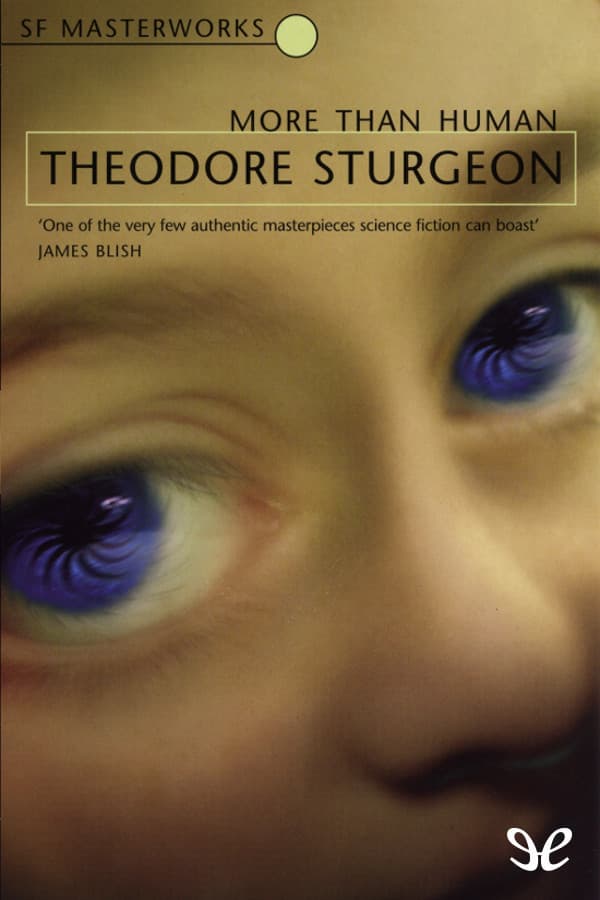 More Than Human cover