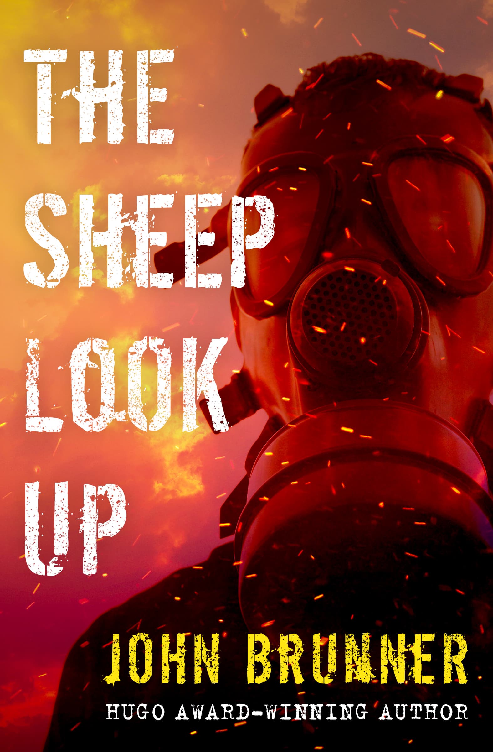 The Sheep Look Up cover